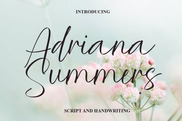 Adriana Summers: A Font Review for Branding Projects