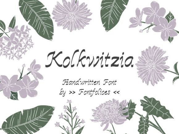 Kolkwitzia: A Modern Brush Script Font for Digital Design