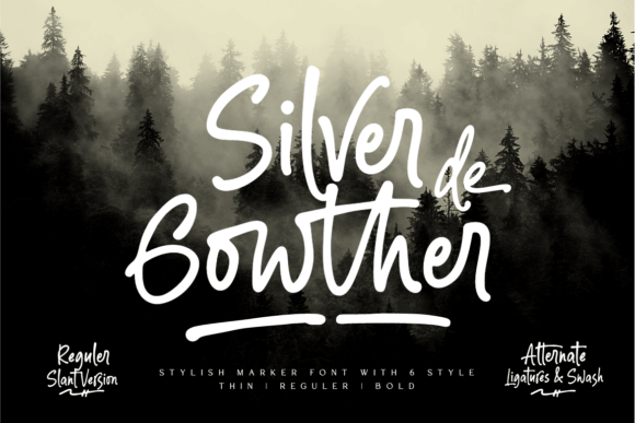 Silver Gowther: A Marketer's Font for Modern Branding